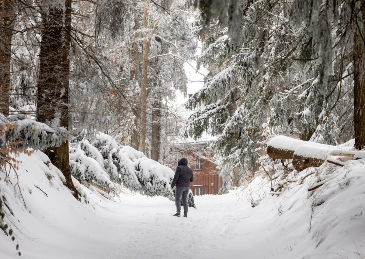 Wetter in Thüringen.jpg