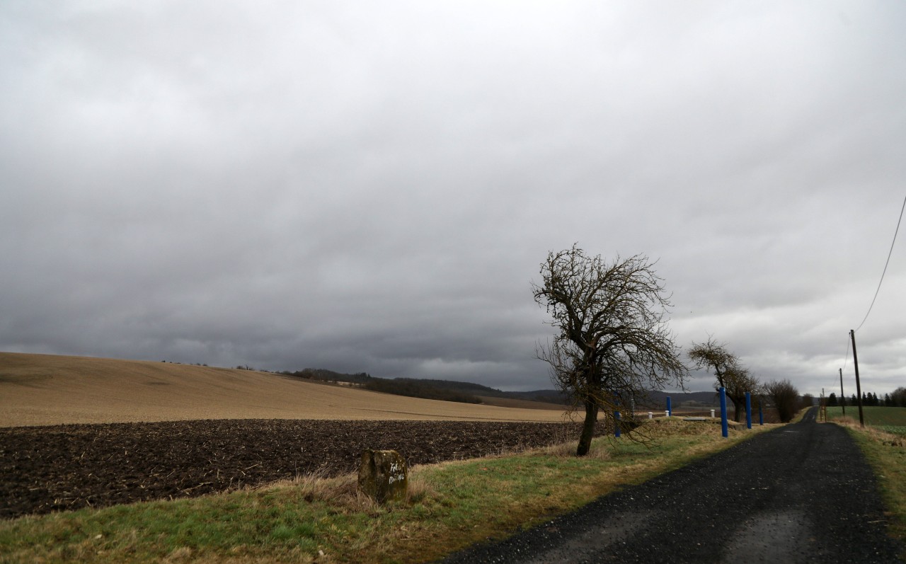 Das Wetter in Thüringen ist in den kommenden Tagen nicht besonders viel versprechend. (Archivbild) 