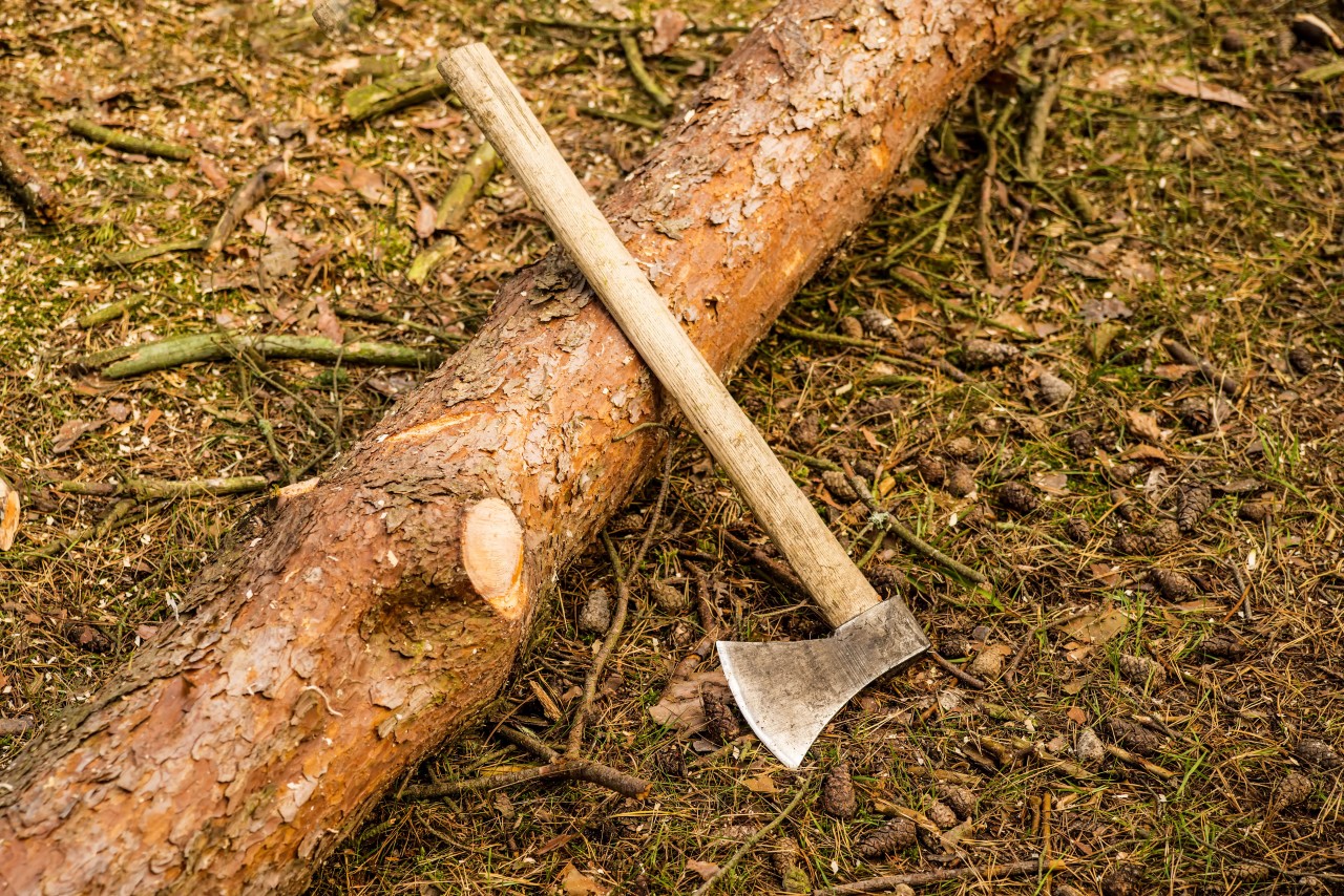 Die Jugendlichen haben bei ihrer Zerstörungstour in der Nähe des Hainich wohl auch eine Axt verwendet. (Symbolbild)