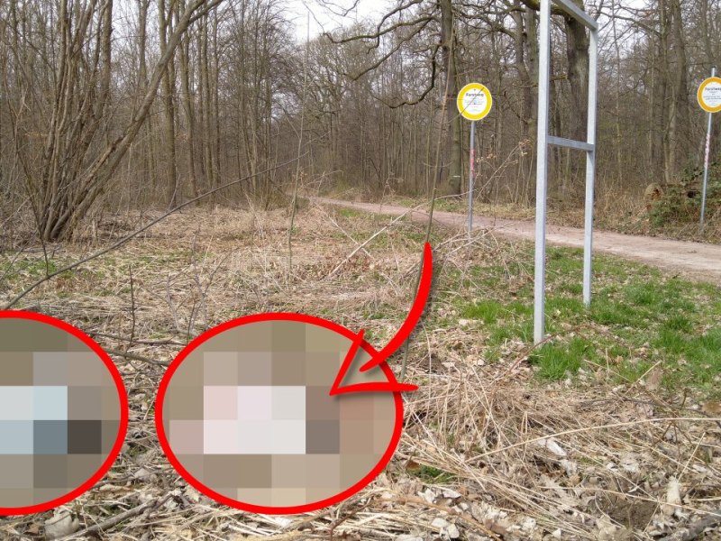weimar fundort pixelie.jpg