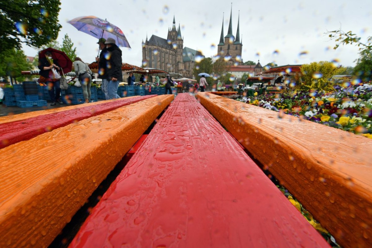 Erfurt Markt Regen