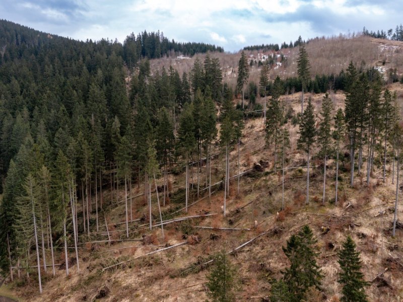 Thüringer Wald