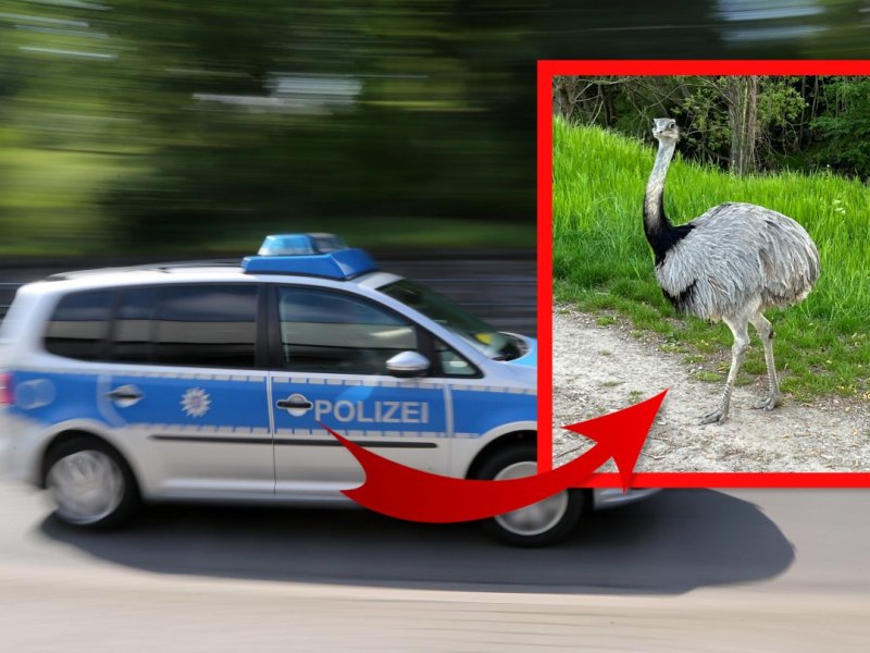 erfurt polizei unpixel.jpg