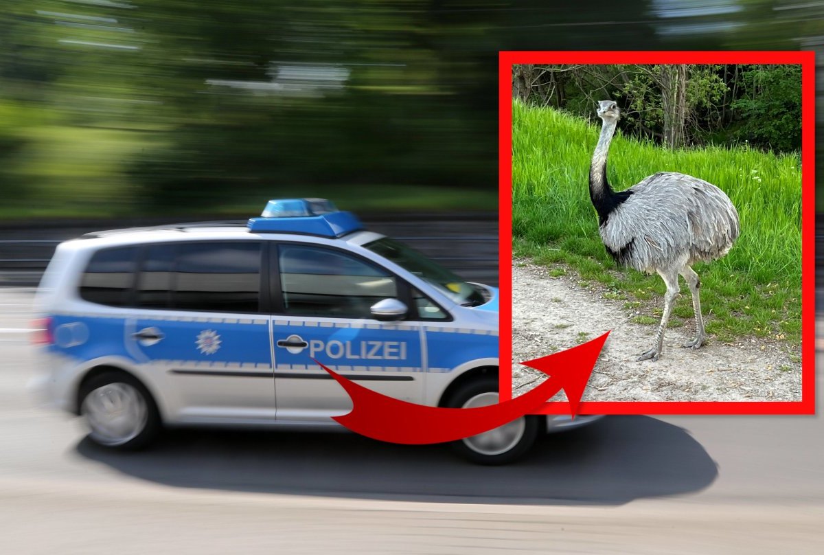 erfurt polizei unpixel.jpg