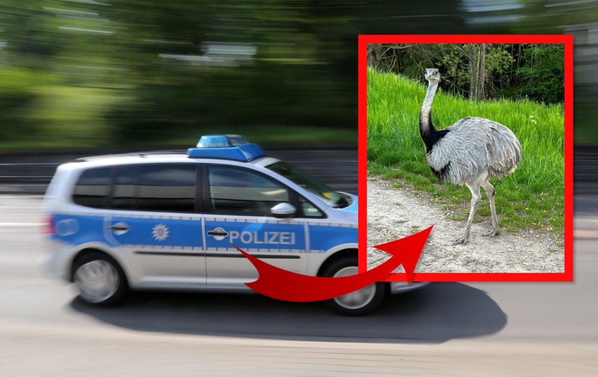 erfurt polizei unpixel.jpg