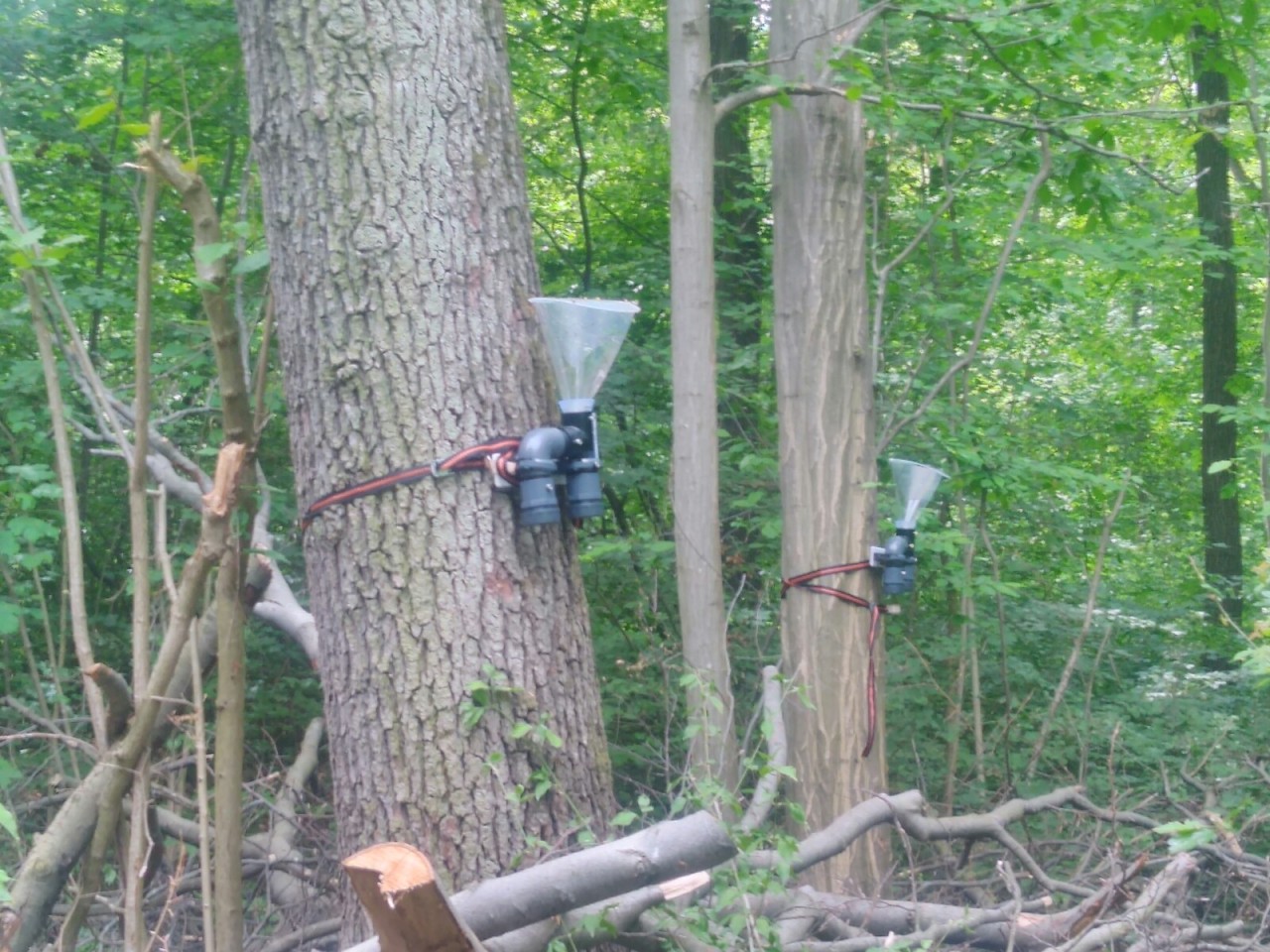 Hast du diese skurrilen Trichter auch schon in Jena gesehen? 