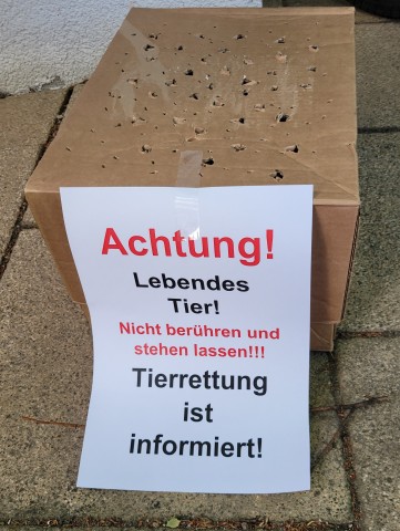 Die Polizei hat dem „Bruchpiloten“ auf die Schnelle ein neues zu Hause gebaut.