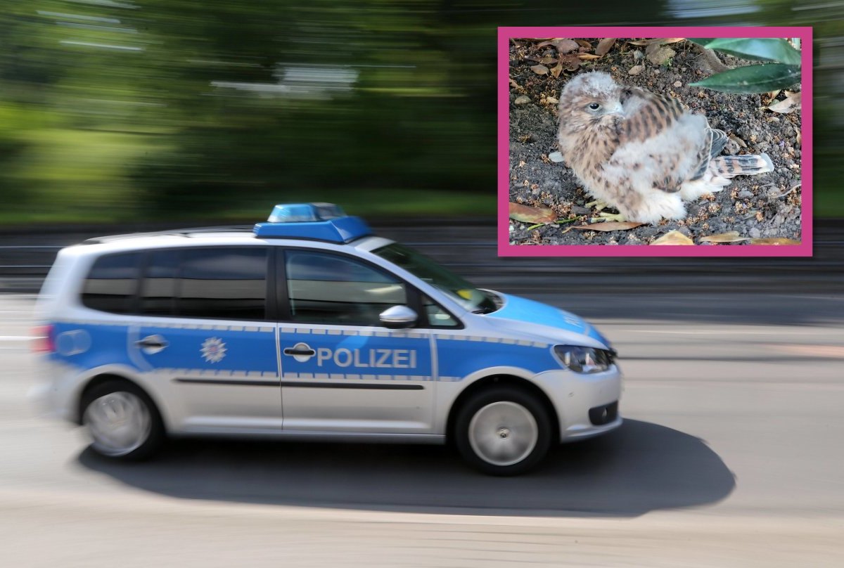 erfurt polizei unpixel.jpg