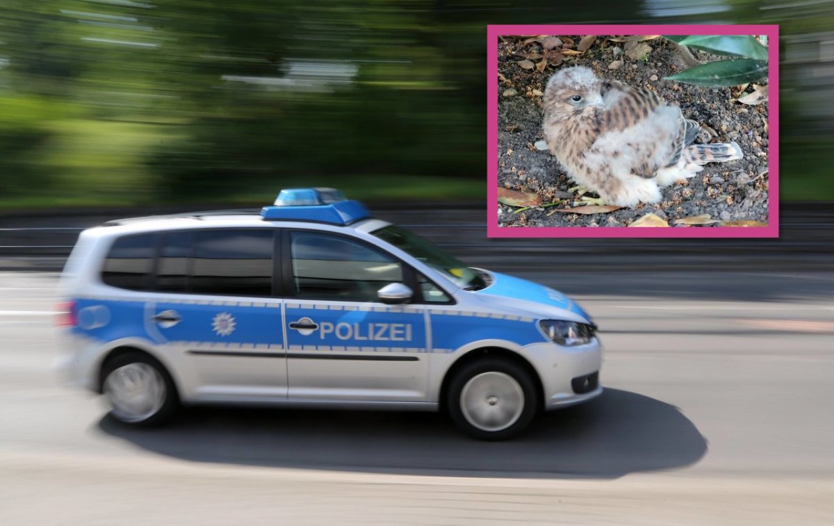 erfurt polizei unpixel.jpg