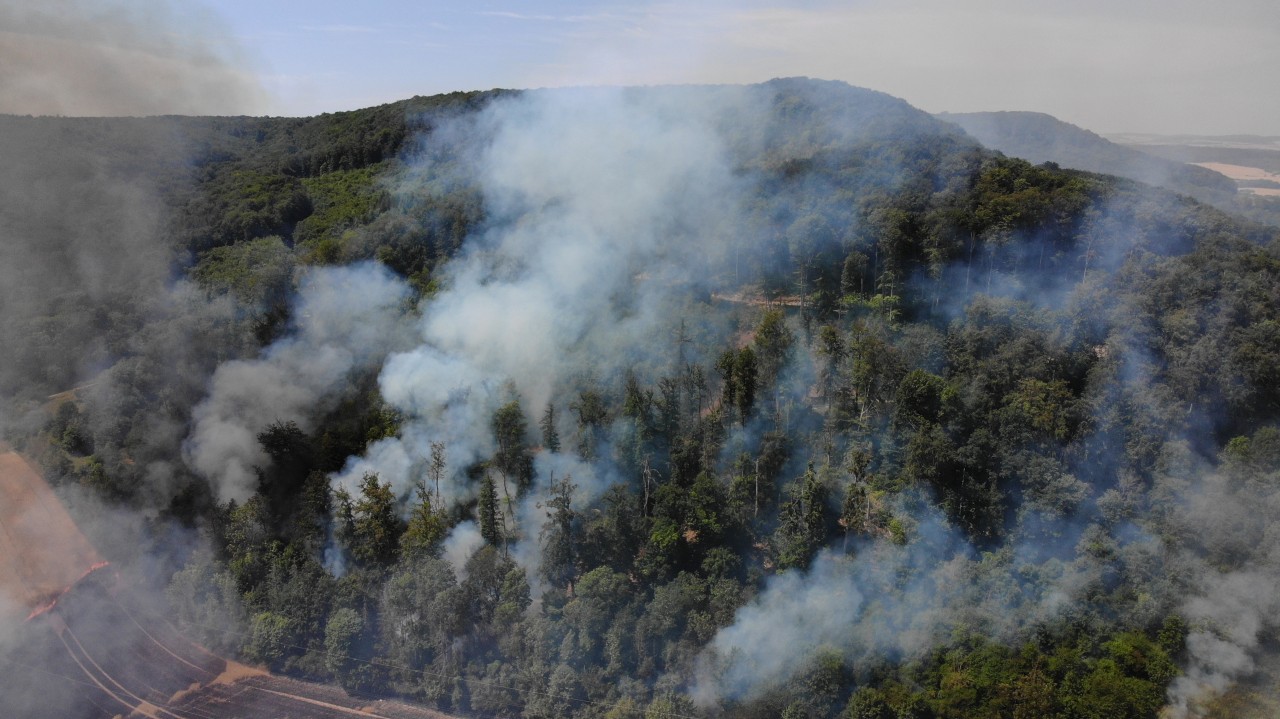 Flammen-Inferno im Kreis Nordhausen! 