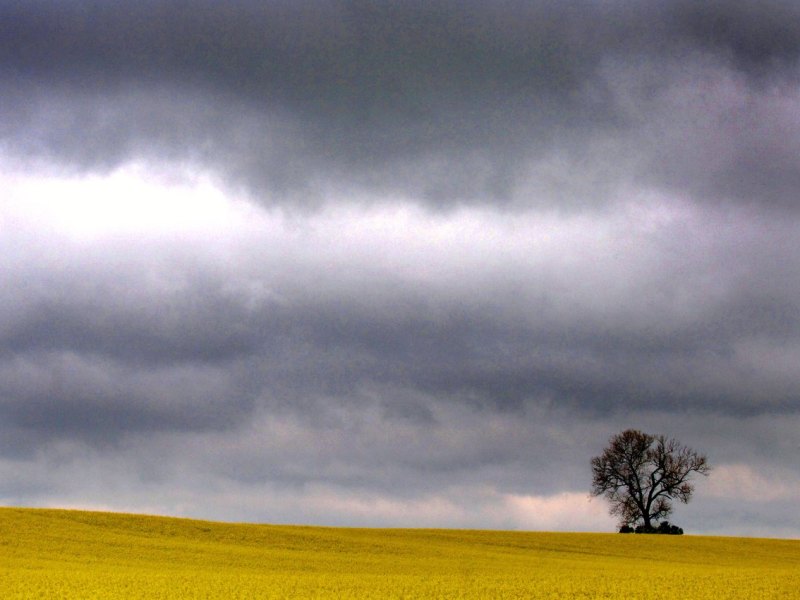 Wetter in Thüringen.jpg