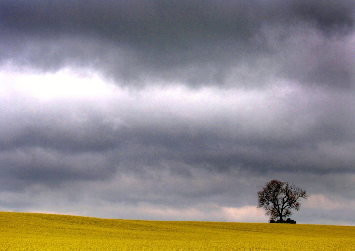 Wetter in Thüringen.jpg