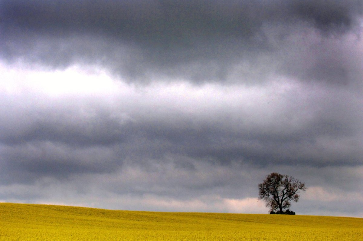 Wetter in Thüringen.jpg