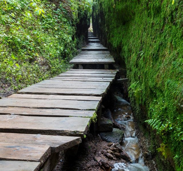 drachenschlucht eisenach.jpg