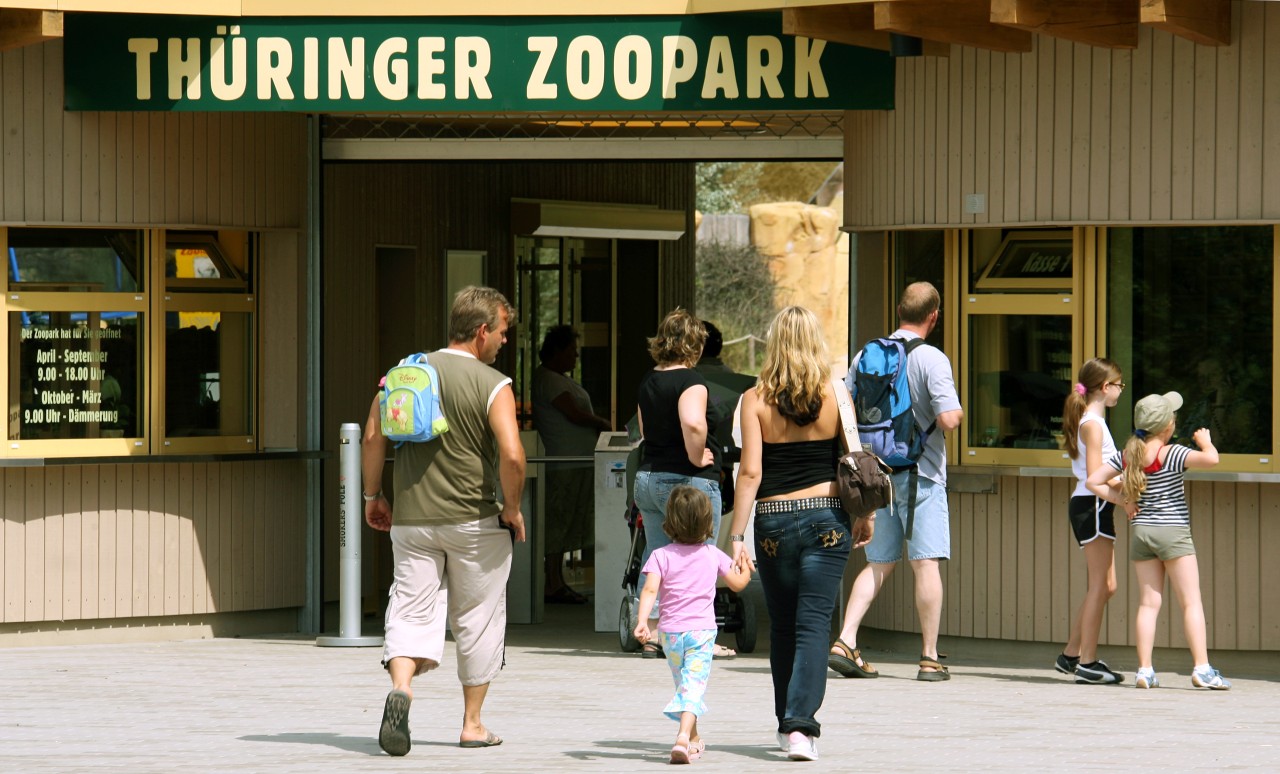 Wegen der Hitze muss der Zoo Erfurt eine drastische Maßnahme ziehen. (Archivbild)