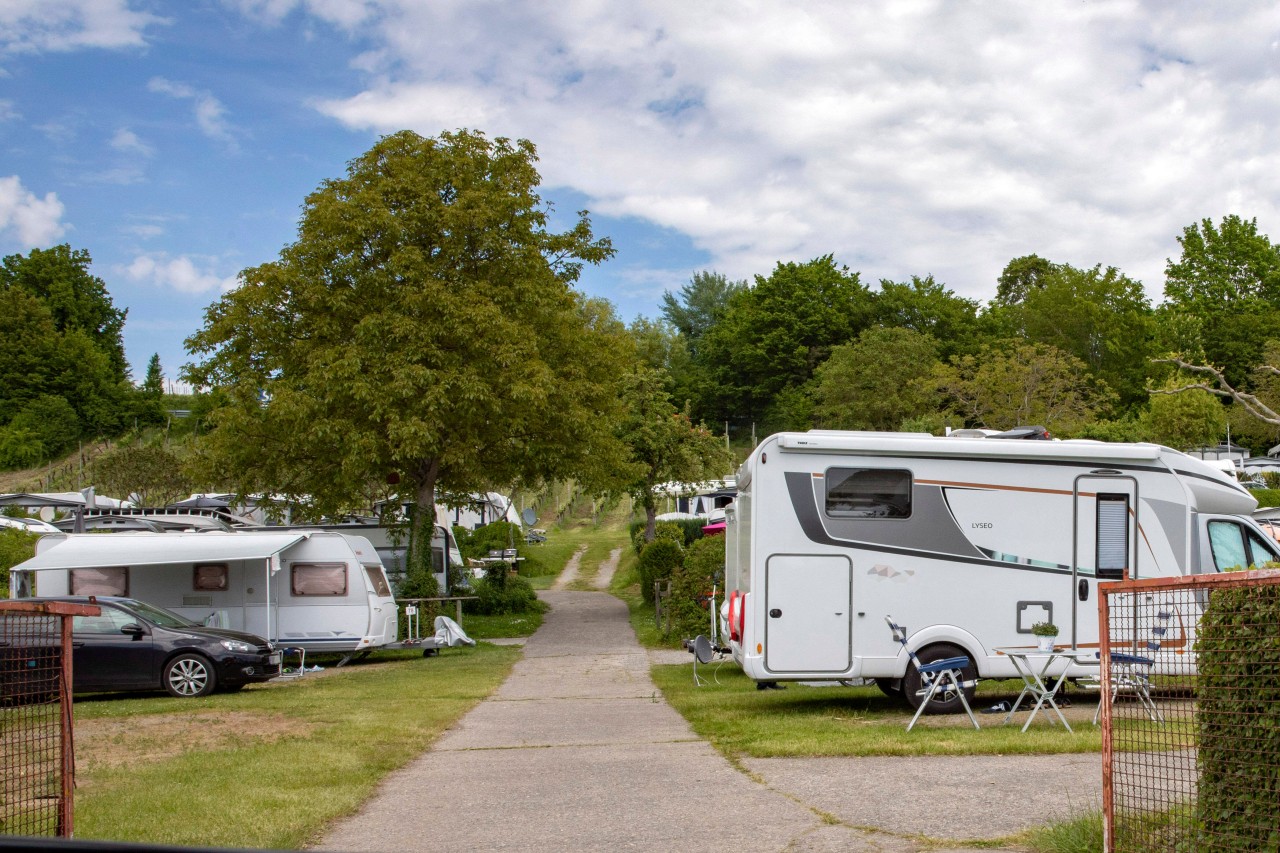 Beim Camping in Thüringen könnte dich DAS erwarten. (Symbolbild) 