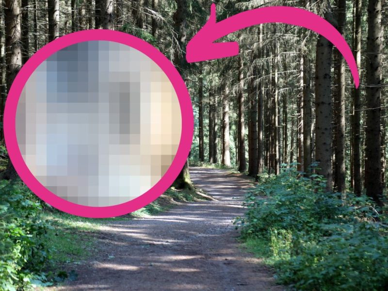 Blick auf den Thüringer Wald mit einem verpixelten Bild