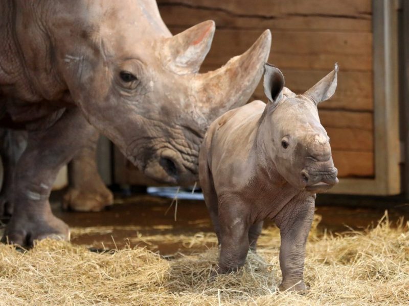 Zoo Erfurt
