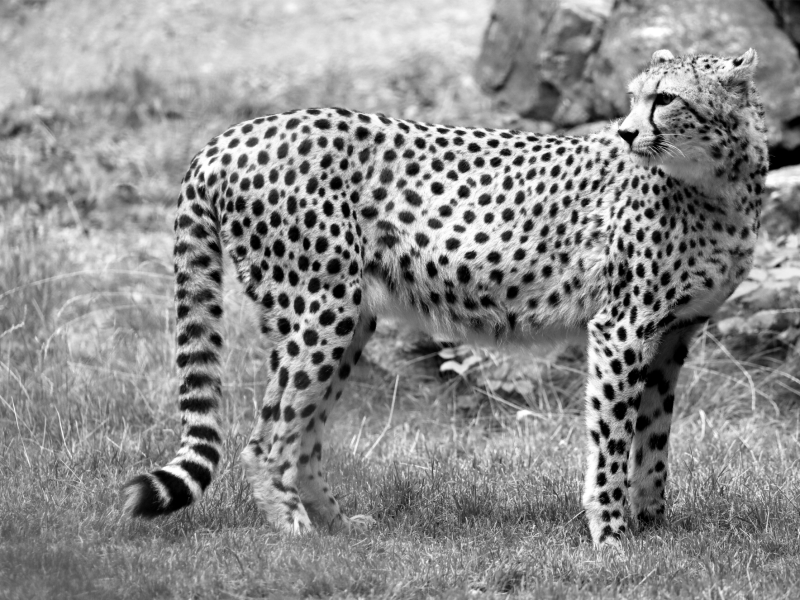Zoo Erfurt