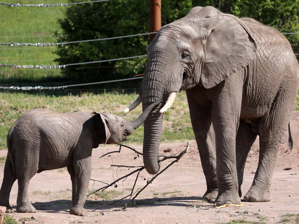 Zoo Erfurt