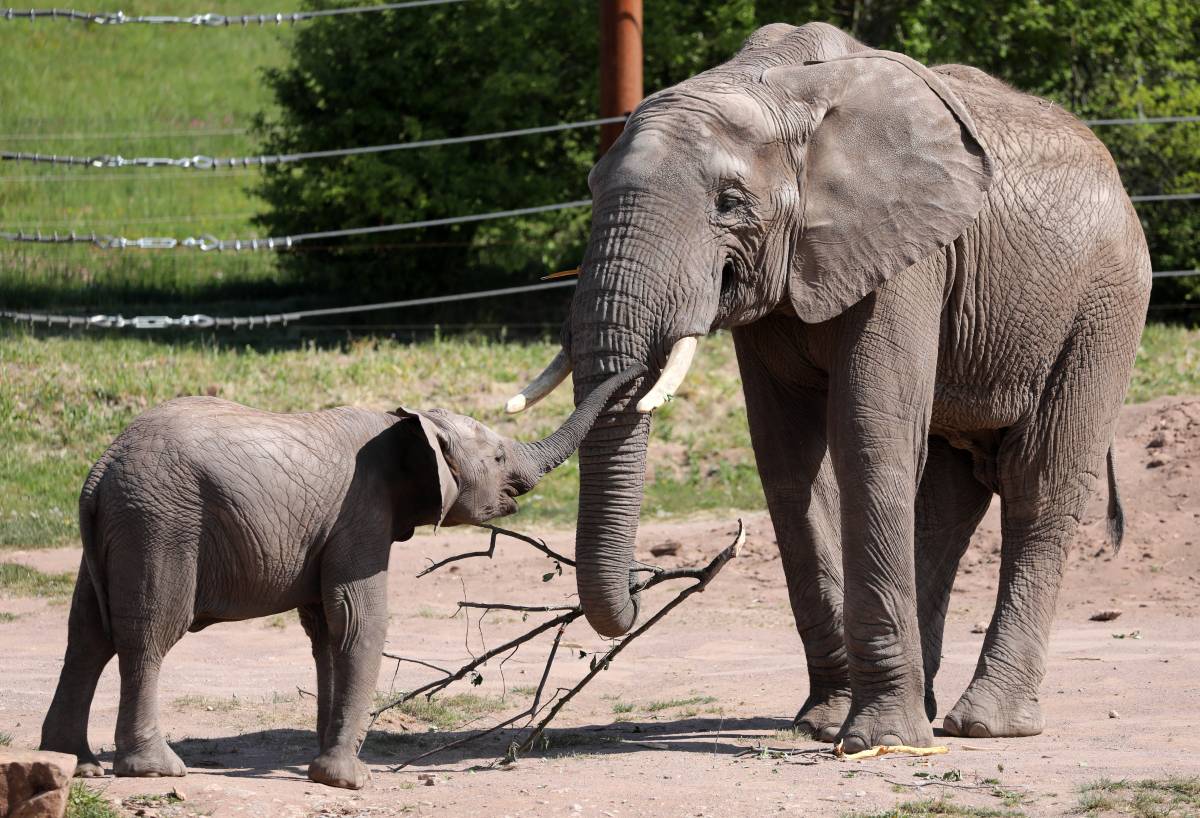 Zoo Erfurt