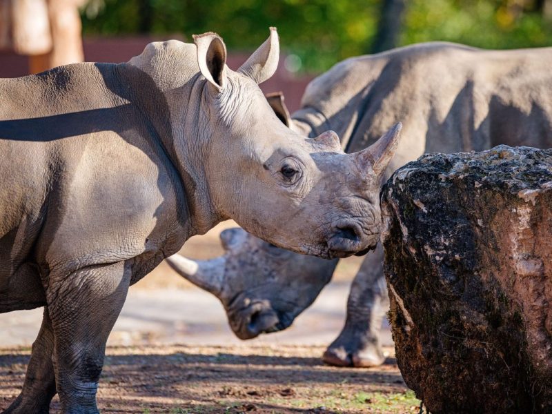 Zoo Erfurt