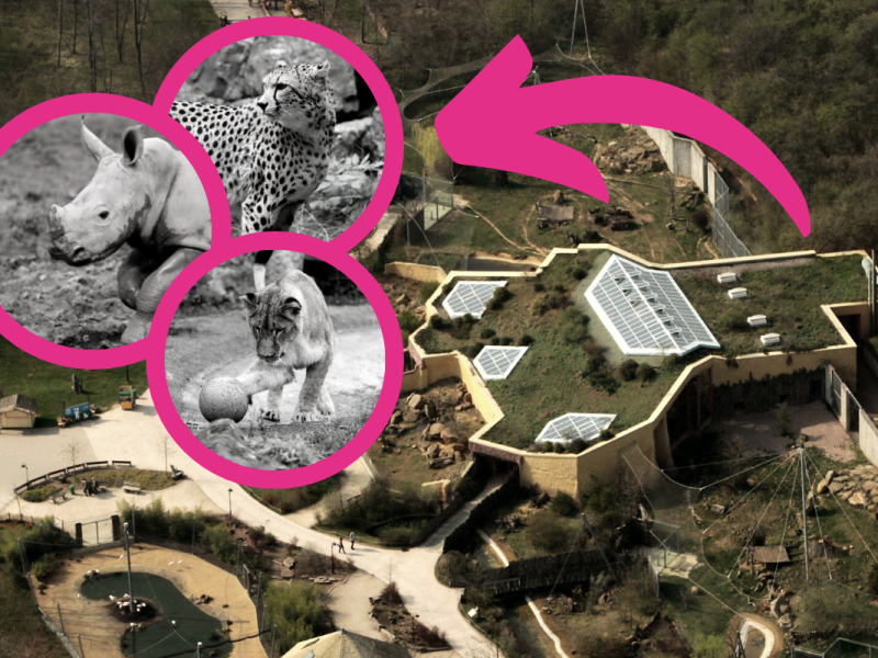 Zoo Erfurt