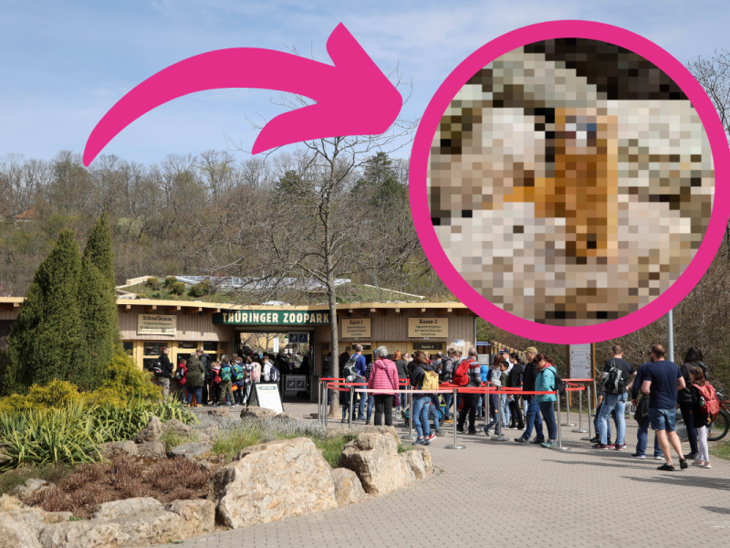 Zoo Erfurt