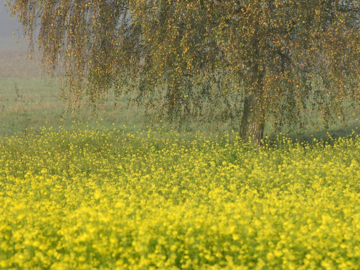 Wetter in Thüringen