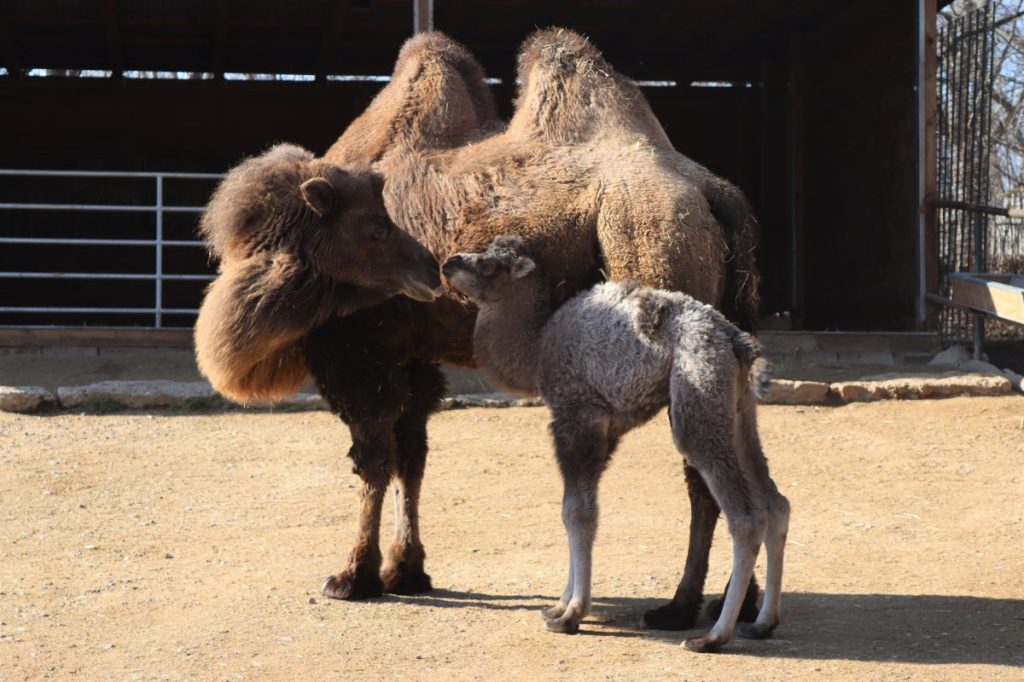 Zoo Erfurt