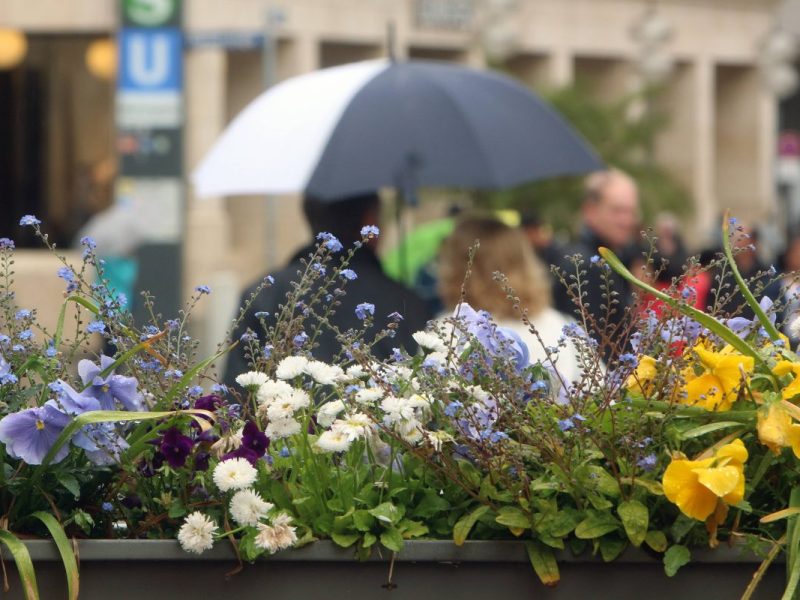 Wetter in Thueringen