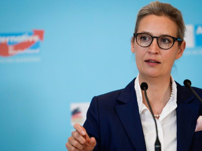 Weidel verteidigt Auftritt mit Höcke in Erfurt