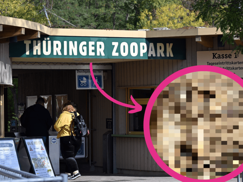 Zoo Erfurt
