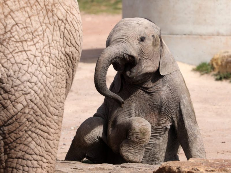 Zoo Erfurt