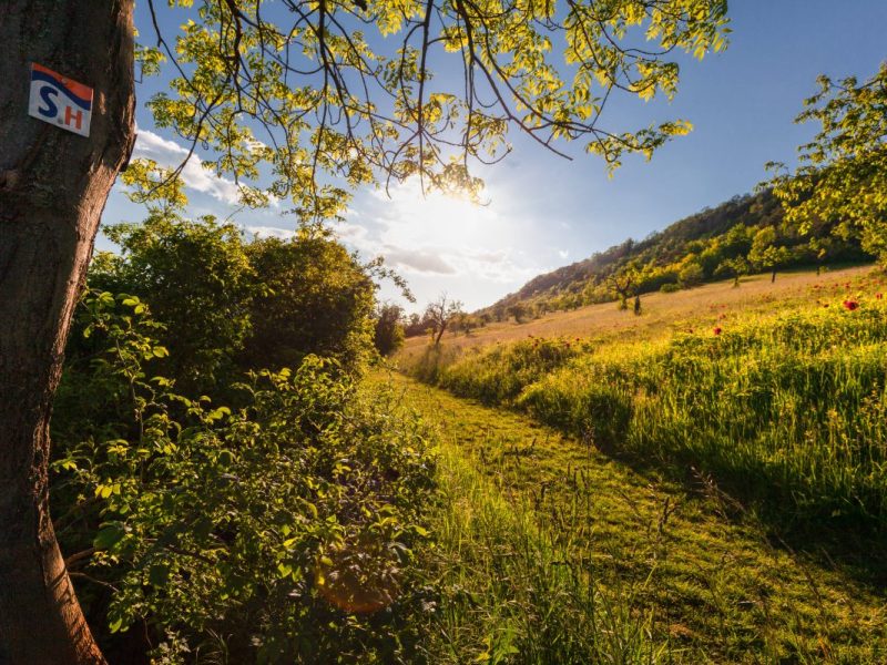 Ein Meteorologe spricht mit Blick auf den Juni von einer 