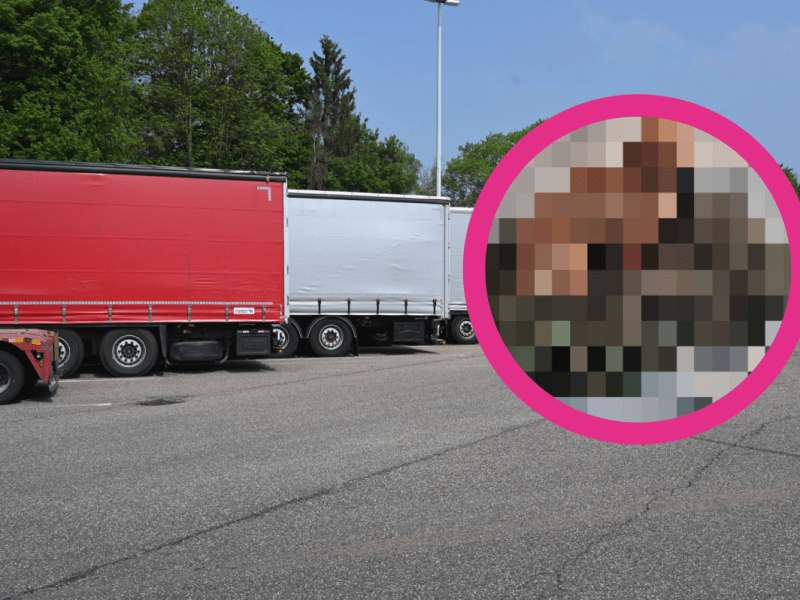 Ein Urlauber hat diese Fellnase auf der A9 bei Thüringen aufgelesen.