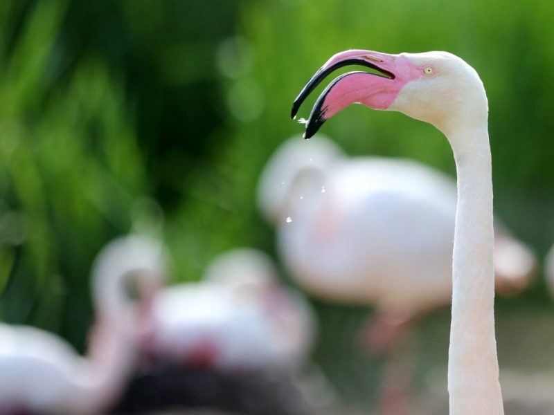 Zoo Erfurt