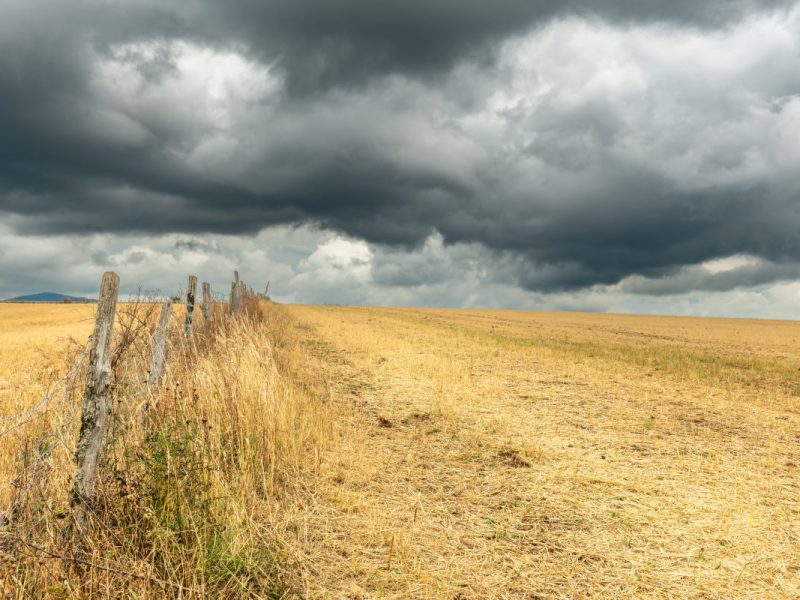 Gewitterwolken über einem Feld