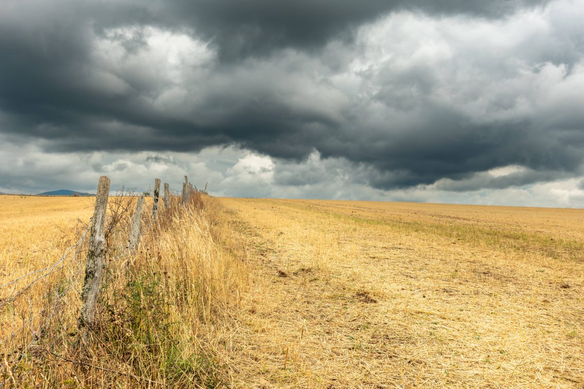 Gewitterwolken über einem Feld