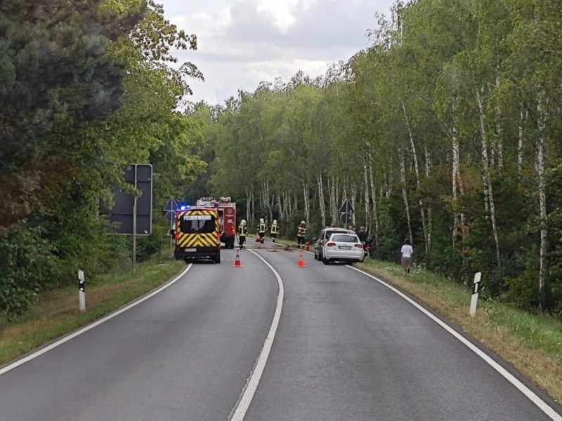 Warum es zu dem Unfall im Kreis Gotha kam, muss noch geklärt werden.