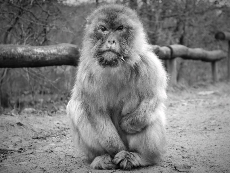 zoo erfurt