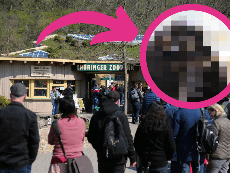 zoo erfurt