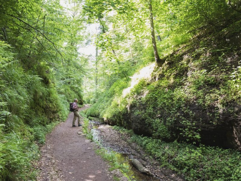 thueringer wald