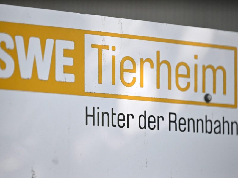 Schild Tierheim Erfurt