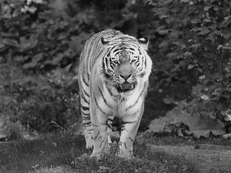 zoo leipzig