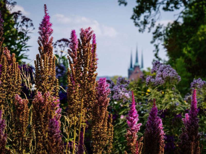 Egapark Erfurt