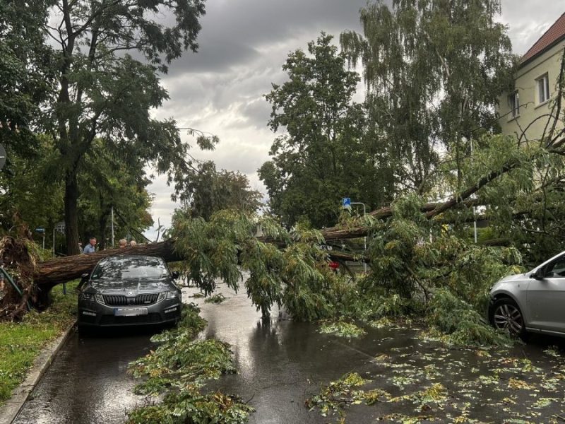 unwetter erfurt