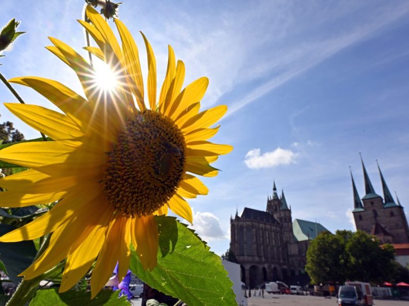 Der Sommer gibt ein unerwartetes Comeback. Auch die Thüringer dürfen sich über schönstes Spätsommer-Wetter freuen. Hier kommen die Aussichten!