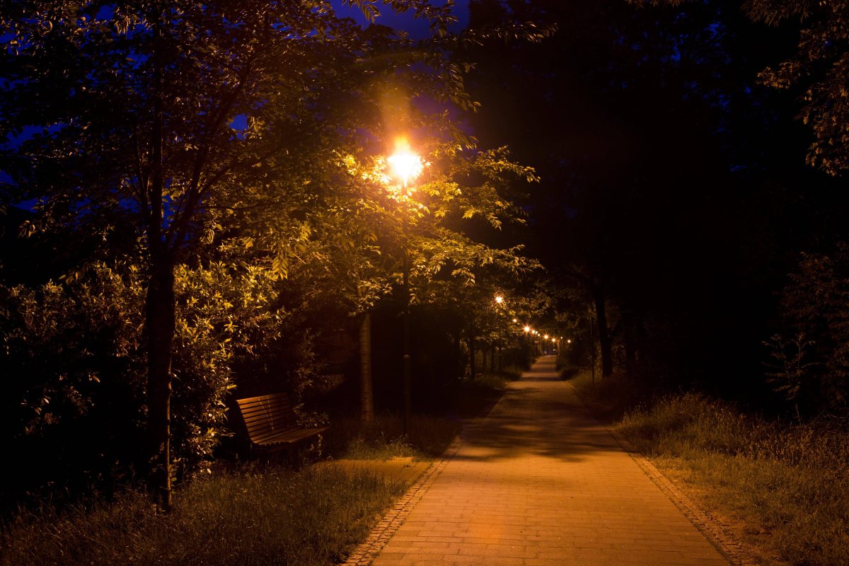 Stadtpark bei Nacht. Symbolbild