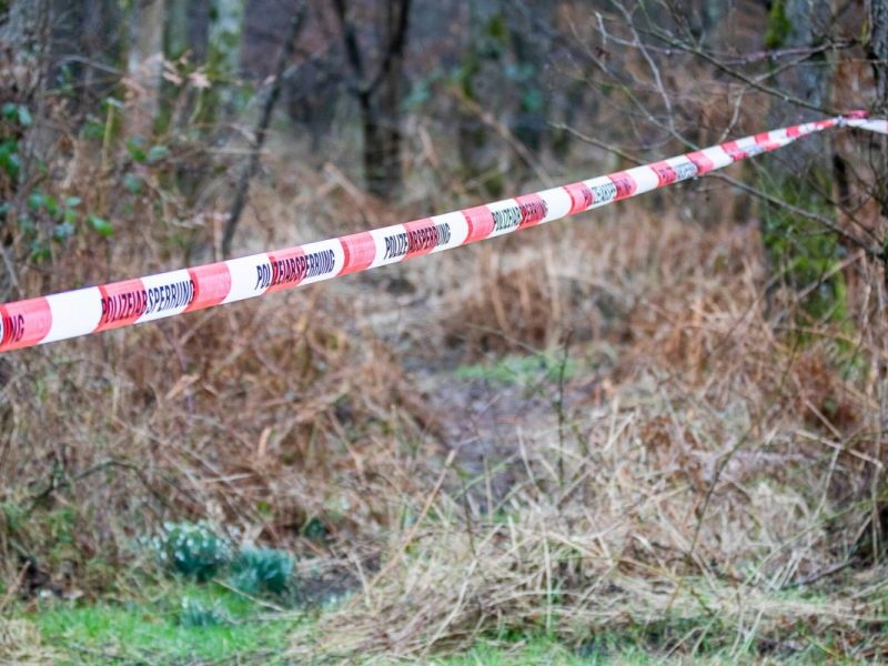 Im Stadtwald in Gera (Thüringen) haben Pilzsucher eine Leiche entdeckt. (Symbolbild)